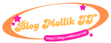 Blog Mollik IT